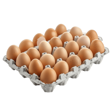 Hướng Dẫn Bảo Quản Vỉ Trứng Giấy