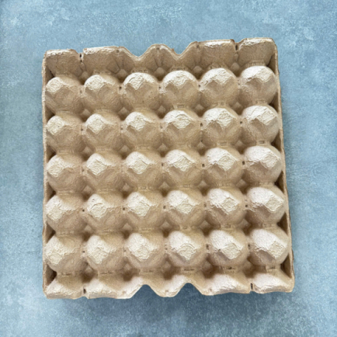 Khay Đựng Trứng 30 Quả
