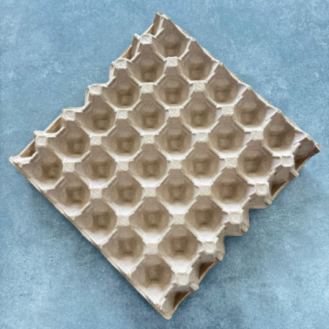Khay Đựng Trứng 30 Quả