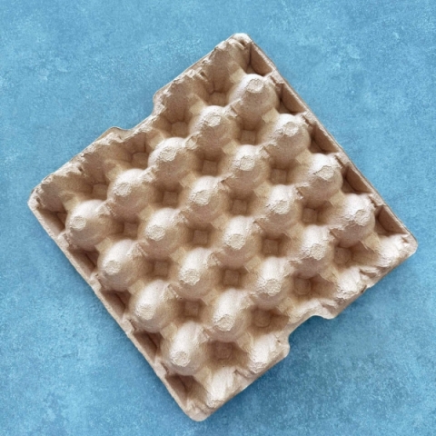 Khay Đựng Trứng 20 Quả