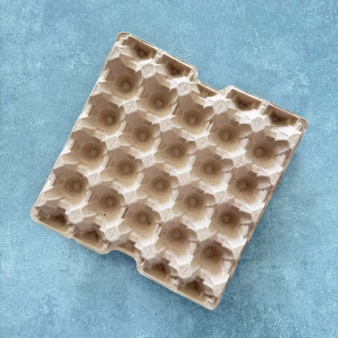 Khay Đựng Trứng 20 Quả