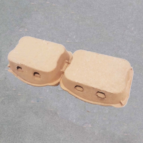 Hộp đựng trứng đôi 6X2 quả