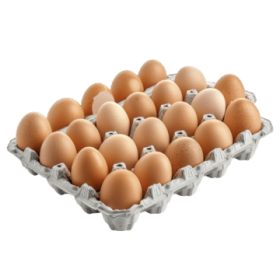 Hướng Dẫn Bảo Quản Vỉ Trứng Giấy