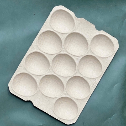 Khay Đựng Bơ 11 Qủa