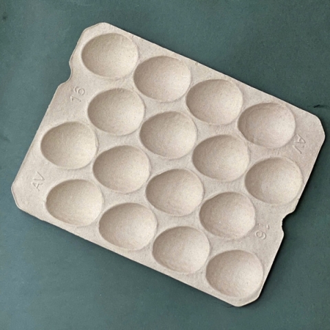 Khay Đựng Bơ 16 Qủa