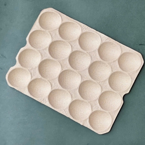 Khay Đựng Bơ 20 Qủa