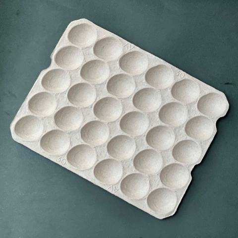 Khay Đựng Bơ 30 Qủa