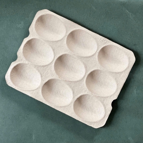 Khay Đựng Bơ 9 Qủa