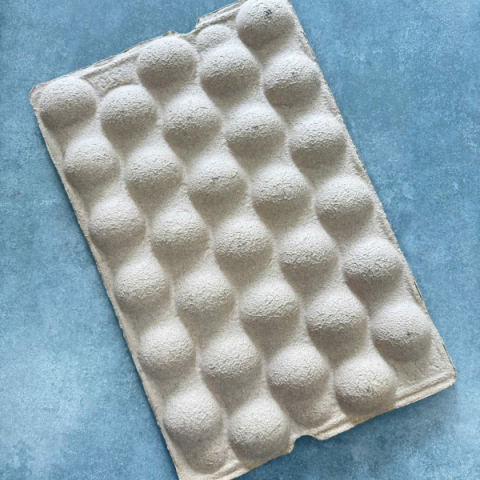 Khay Đựng Táo 30 Qủa