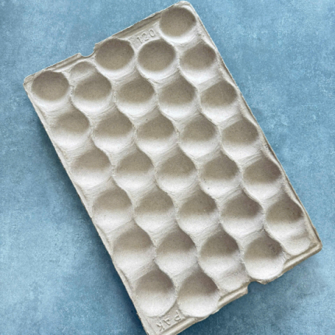 Khay Đựng Táo 30 Qủa