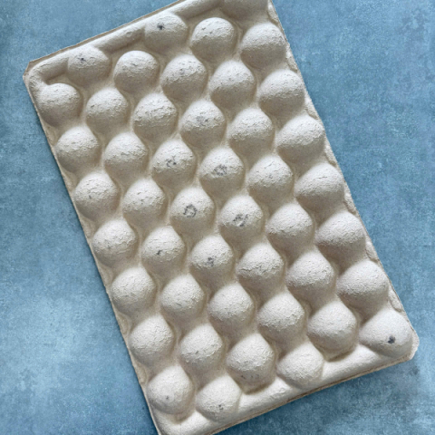 Khay Đựng Táo 45 Qủa