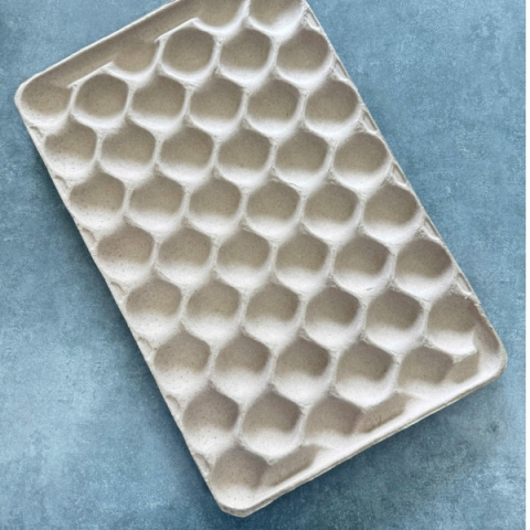 Khay Đựng Táo 45 Qủa